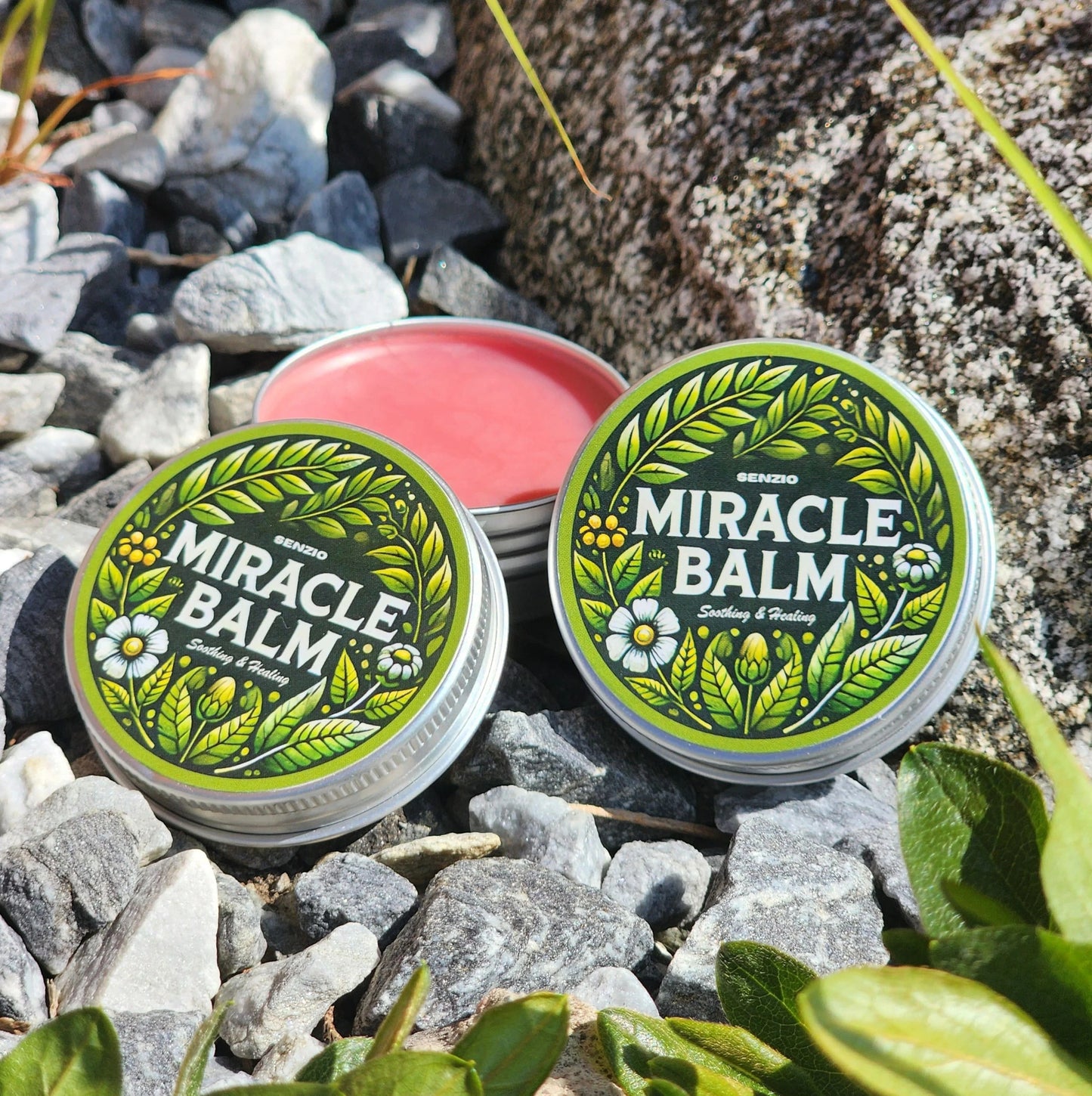 La Planta Poderosa de Herbas del Bálsamo™ Milagroso Senzio