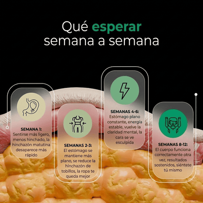 Nueva fórmula de máxima potencia ⎯ Cápsulas de drenaje linfático de Sculptique™...