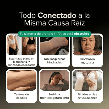 Nueva fórmula de máxima potencia ⎯ Cápsulas de drenaje linfático de Sculptique™...