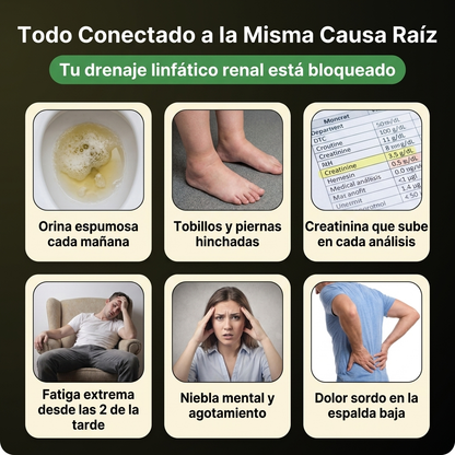 Nueva fórmula de máxima potencia: Cápsulas de drenaje linfático renal de Sculptique™