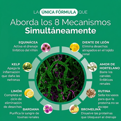 Nueva fórmula de máxima potencia: Cápsulas de drenaje linfático renal de Sculptique™