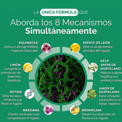 Nueva fórmula de máxima potencia: cápsulas de drenaje hepático de Sculptique™